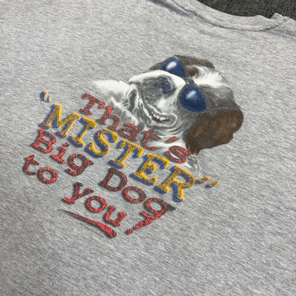 Vintage 90s Big Dog Sportswear Graphic T-Shirt Gray 4X Mister Big Dog